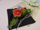 img_20230429_183301.jpg